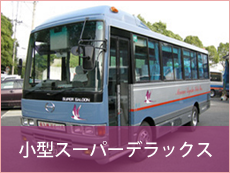 小型スーパーデラックス